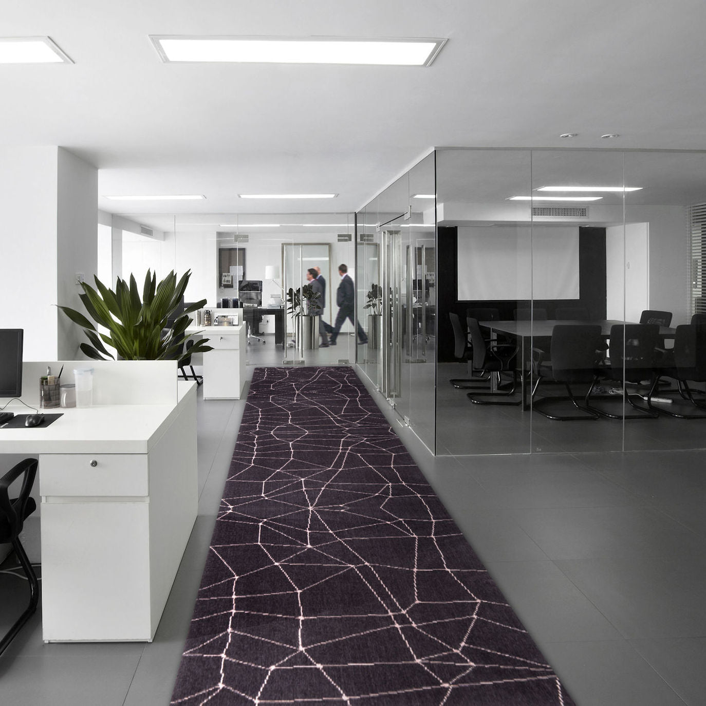 Spiderweb White